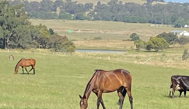 Endless night sky. Stargazers heaven- Relax revive and renew - Farm retreat.