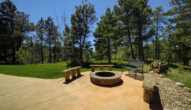 Endless Pines. Black Hills Cabin with views, hot tub and deck!