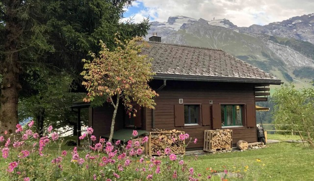 Engelberg, Renovated Chalet in Wonderful Location