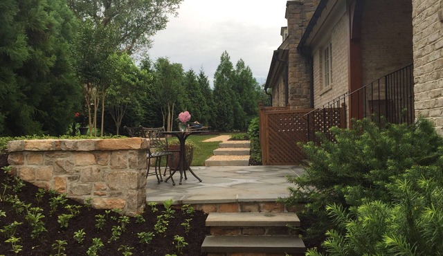 English Basement Apartment W/Private Entrance