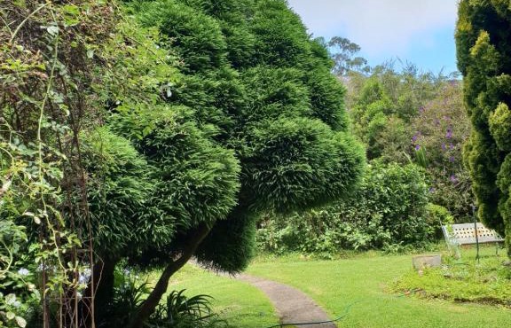 English Gardens - Forest Spa Suite