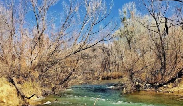 Enjoy a Hassle Free and Suiting Stay! Pets Allowed, Near Grand Canyon Tours!