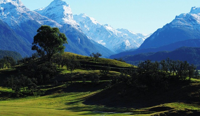 Enjoy a Pacific Northwest inspired seafood lunch !
