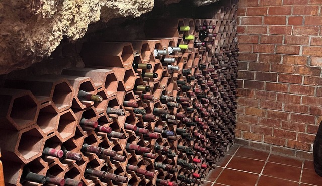 Enjoy a rural house with a wine cellar and a lot of leisure!