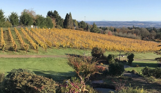 Enjoy a weekend in Oregon's Amazing Wine Country