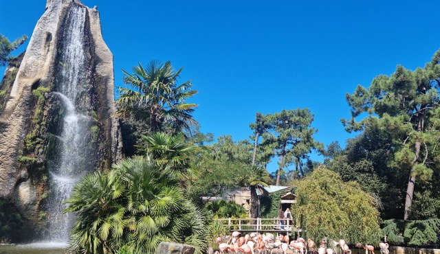 Enjoy a wonderful vacation in this beautiful vacation home.