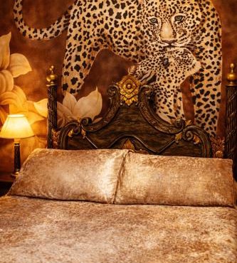 Enjoy An African Adventure In The Heart Of Swansea