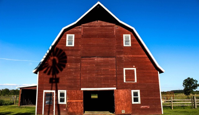 Enjoy an Old Fashion Farm Experience, Animals Included! We. Farm. Naturally.