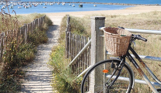 Enjoy an unforgettable vacation in this modern apartment overlooking the Loire!