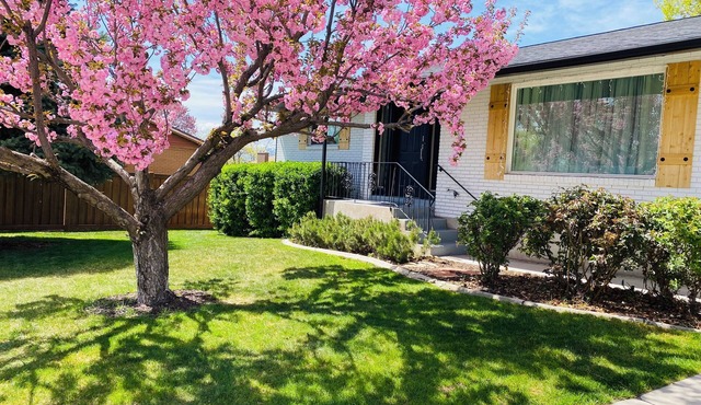 Enjoy Artisan Bread ❤️ Quiet Rambler + Historic Park, Firepit, Pets, 2 Car Garage