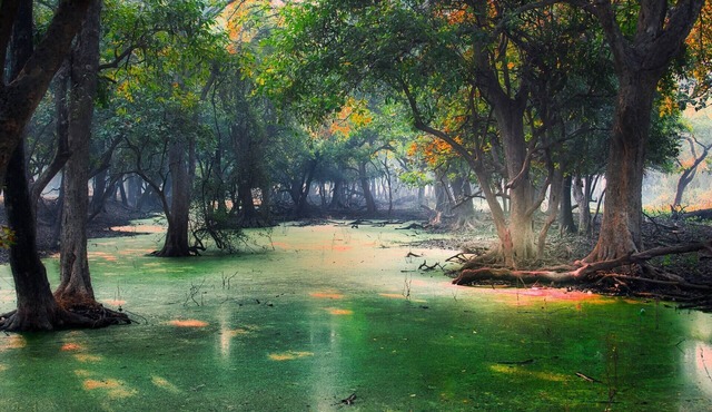 Enjoy modern amenities at our new Lake view room !