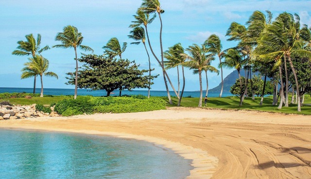 Enjoy Modern New Rooms at our Vancouver,