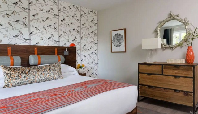 Enjoy Nature & Town | Stay in Style at Field Guide Lodge, Close to Everything