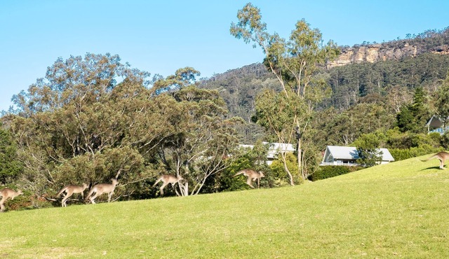 Enjoy outstanding views from this one bedroom cabin