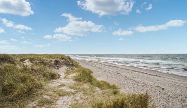 Enjoy peace and quiet in this large vacation home on the island of Anholt.