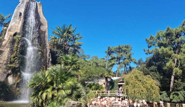 Enjoy peace and relaxation in this large holiday home with an inviting garden.