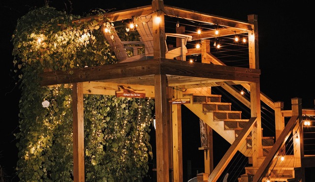 Enjoy private farm, golf cart, fishing, walking trails @ Storybook Farmhouse