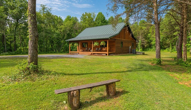 Enjoy Secluded Starry Nights! Near Luray, HotTub, FastWiFi, Handicap, Fireplace