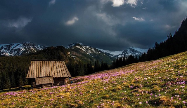 Enjoy staying at the gateway to Napa Valley at our room in American Canyon