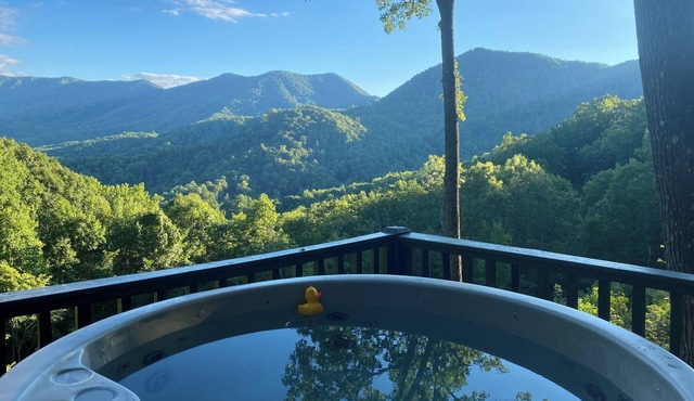 Enjoy the beautiful view of the mountains in your private hot tub! Pet friendly