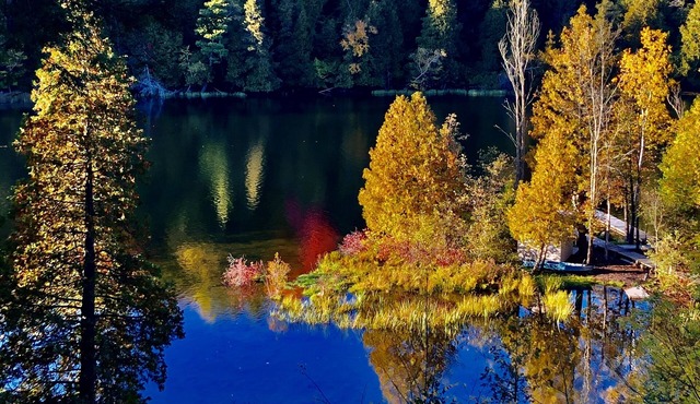 Enjoy the beautiful views of the Muskegon River near Hardy Dam and Dragon Trail