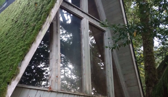 Enjoy the Chetco River wilderness