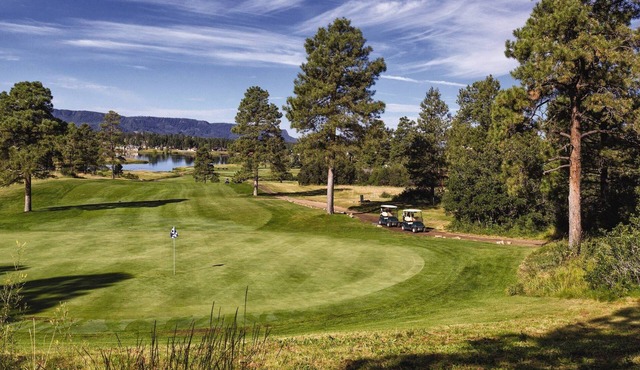 Enjoy the Crisp Mountain Air on the Pinon Lake w/Golf, hiking, skiing, riding and fishing