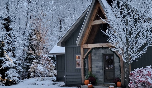 Enjoy the Holidays at Stillwoods Cottage, Near Algonquin Park