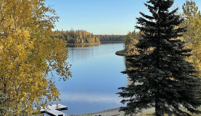 Enjoy the Lake and Loons