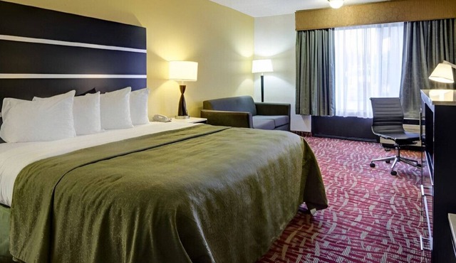 Enjoy the Modern & Elegant Designed King Room!