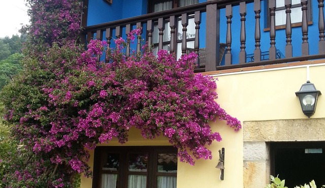 Enjoy the natural paradise of Asturias in our country house El Rosal