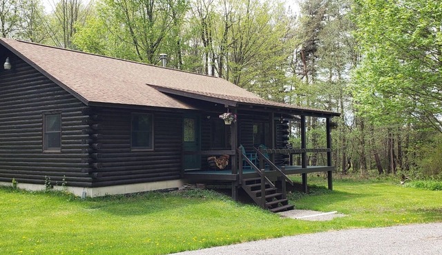 Enjoy the outdoors in this cozy Log Home on top of hill