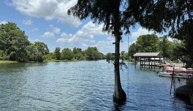 Enjoy the river from this freshly renovated home with a private boat ramp.