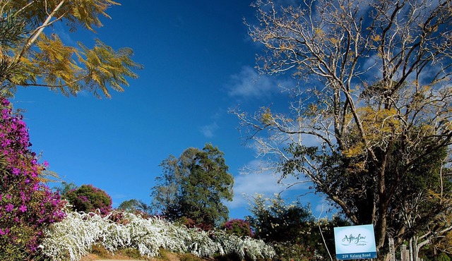 Enjoy the ultimate natural indulgence – a million-star spa…