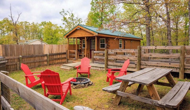 Enjoy this cabin/tiny home on 24 acres of Oak and Hickory forest close to Berkeley Springs, WV