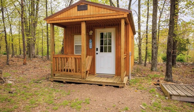 Enjoy this cabin/tiny home on 24 acres of oak and hickory forest close to Berkeley Springs, WV