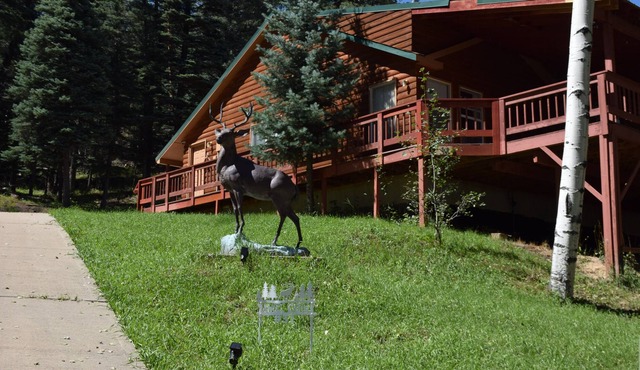 Enjoy this Mountain Home near lake and wildlife of plenty