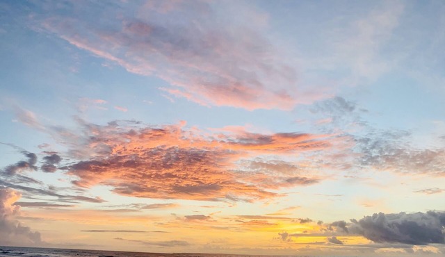 Enjoy true beachfront living where the Atlantic Ocean is your backyard! Paradise