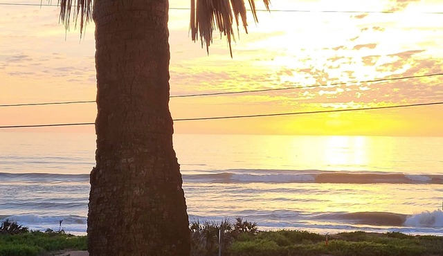 Enjoy your beach adventure, in a cozy ocean-front condo at Ormond-by-the-Sea.