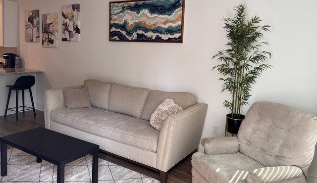 ⭐️⭐️⭐️⭐️⭐️ Entire 1 bedroom apartment close to downtown and airport