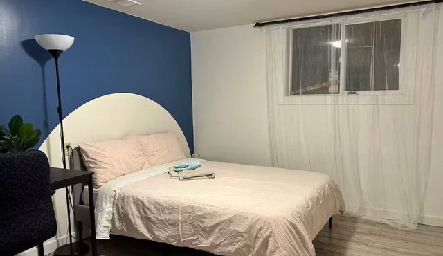 Entire 2 BDRM basement, walkable to downtown.