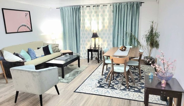 Entire 3BR 2 Bath Apartment Near by Northwestern Univ and Transport 8+ Guests