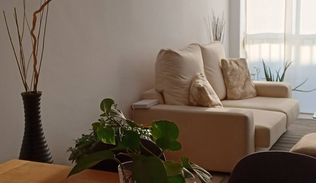 Entire apartment, three bedrooms near the beach, comfortable and bright.