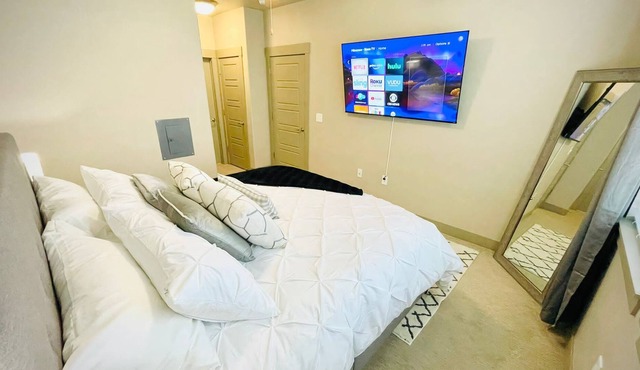 Entire apartment 1Bd/1Ba, 1King bed and 1 Queen bed, it accommodates 1-4 guests