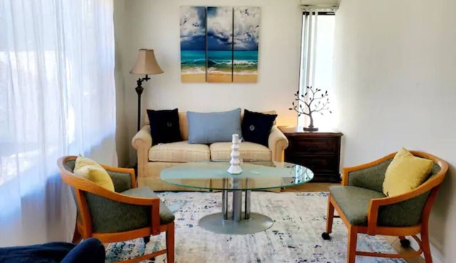 Entire apartment 1b&1b close to downtown, stadium, galleria, theaters