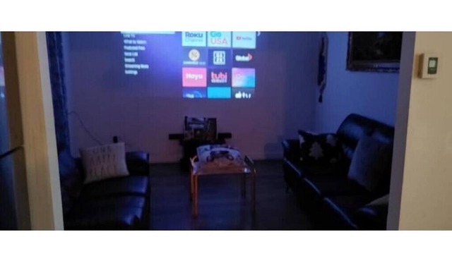 Entire Apartment, Cozy, 100" Projector TV