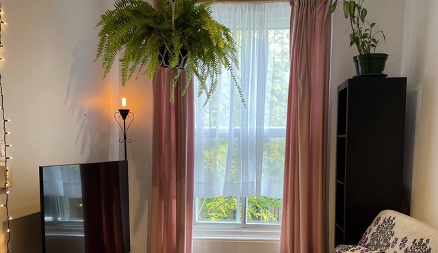 Entire apartment in the heart of the plateau