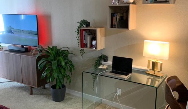 Entire Apartment in West Hollywood