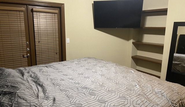 Entire Apt 1br w/private balcony SouthWest Houston