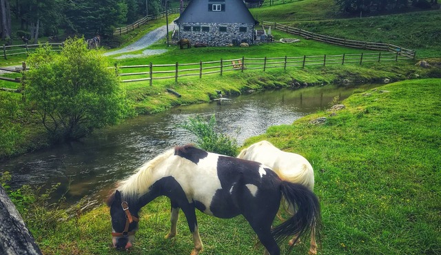 Entire Barn Farm Stay Petting Zoo Tube Slide Ziplines